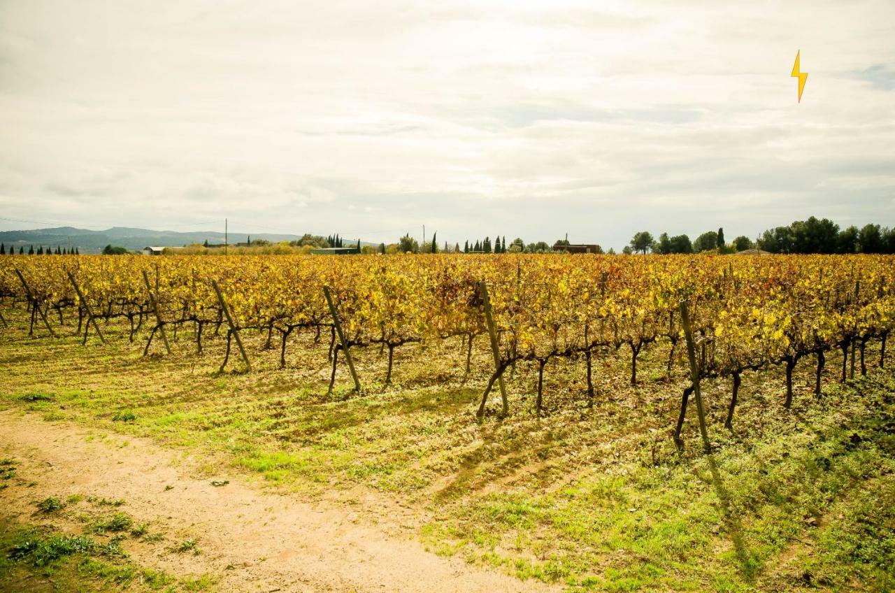 B&B Tina De Pacs, Close To Local Wineries Pacs del Penedes 외부 사진